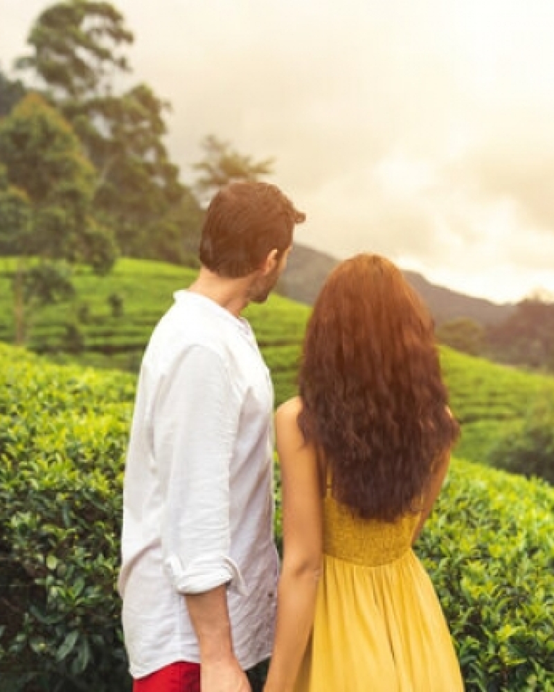 EM Ceylon Tours Destinations