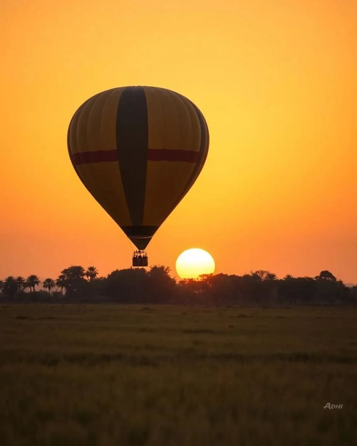 EM Ceylon Tours Activities